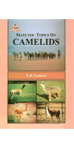 Selected Topics On Camelids Dr.T.K.Gahlot