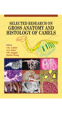 Selected Research On Gross Anatomy And Histology Of Camels