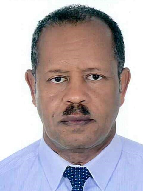 Abdelmalik Khalafalla